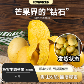 【预售】极客生态芒果（圣德龙）| 香味浓郁，甜度高，自然生态种植，到货需催熟⭐️顺丰快递
