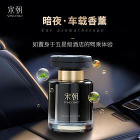 宋朝 暗夜车载香薰 植萃精油 持久留香 5款可选 120ml/瓶