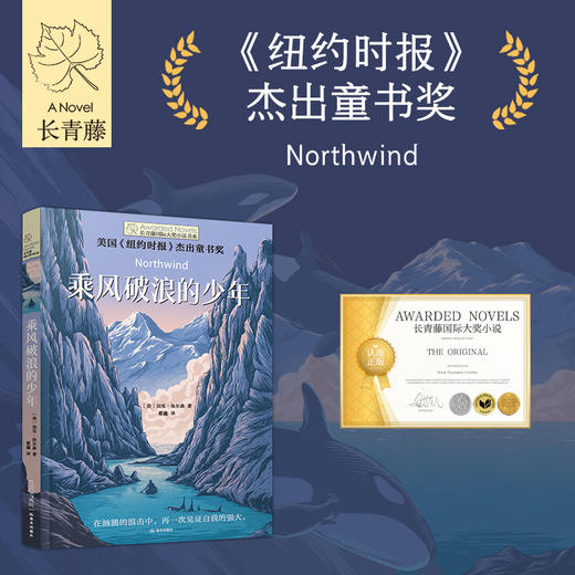 长青藤国际大奖小说系列第十八辑 乘风破浪的少年 9-12岁三四五六年级小学课外推荐阅读 商品图0