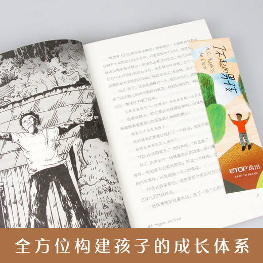 长青藤国际大奖小说——·了不起的男孩 商品图1