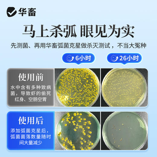 弧菌克星 塘体双杀  修复肝肠  长效防控 商品图1