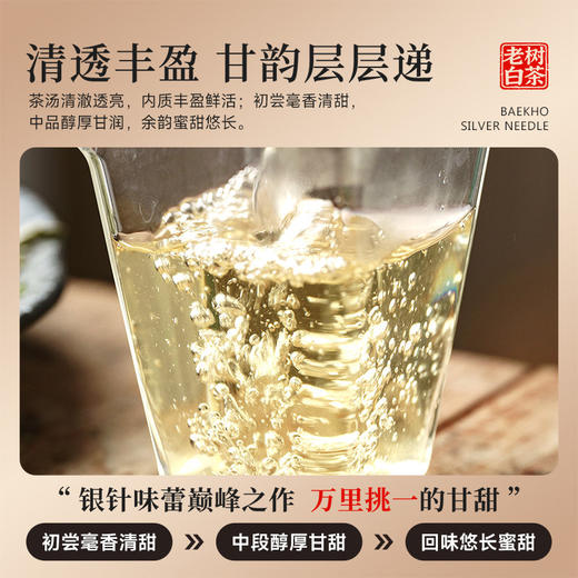 【端午节】茶叶 福鼎白茶 白毫银针 老白茶 端午节 茶饮 五虎 80g 商品图2