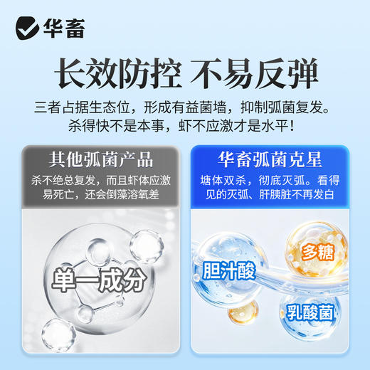 弧菌克星 塘体双杀  修复肝肠  长效防控 商品图3