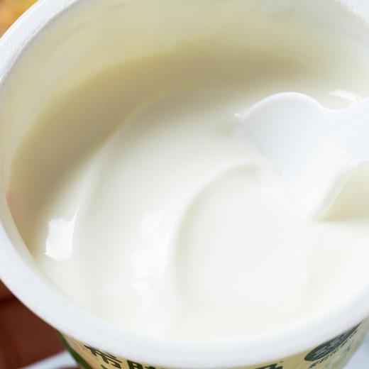乐纯三三三倍希腊酸奶|生牛乳＞95%，丝滑绵密，奶香味爆炸 商品图3