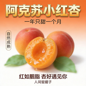疆无季 新疆阿克苏小红杏 一杏两吃（杏肉蜜甜+杏仁香脆）当季鲜果 树上自然熟