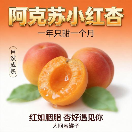 疆无季 新疆阿克苏小红杏 一杏两吃（杏肉蜜甜+杏仁香脆）当季鲜果 树上自然熟 商品图0