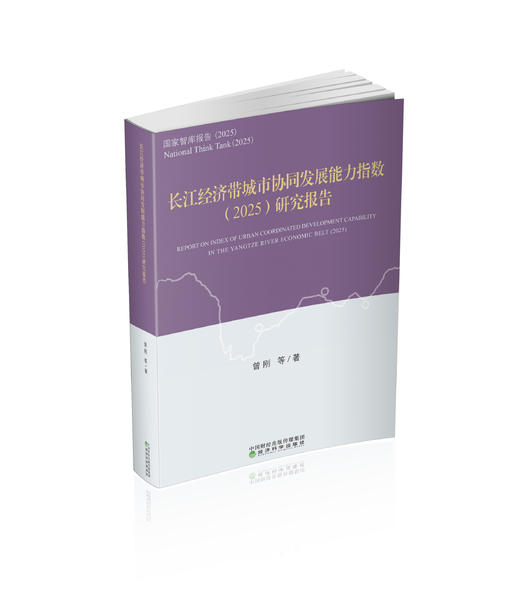 长江经济带城市协同发展能力指数（2025）研究报告 商品图0