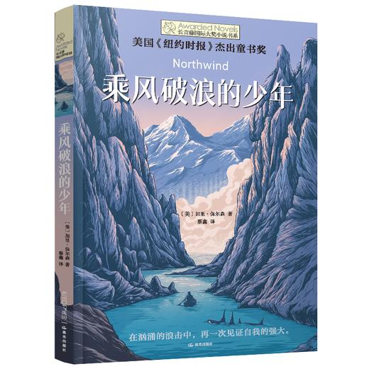 长青藤国际大奖小说系列第十八辑 乘风破浪的少年 9-12岁三四五六年级小学课外推荐阅读 商品图1