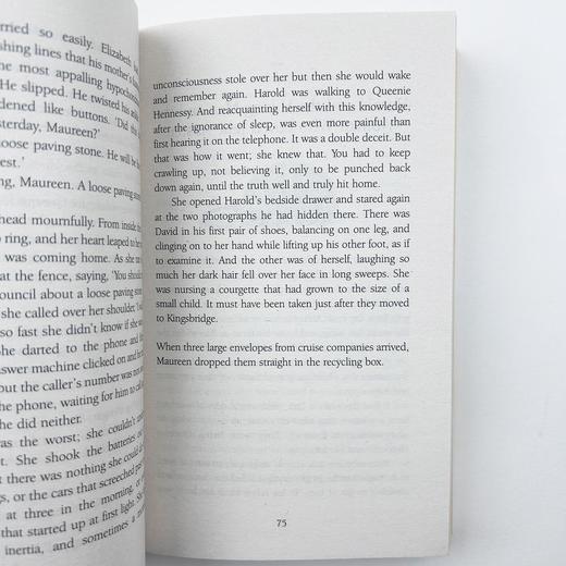 英文版原版小说 一个人的朝圣 The Unlikely Pilgrimage of Harold Fry  英文原版畅销小说 蕾秋乔伊斯 原版进口书 商品图3