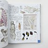 DK人体百科 英文原版 The Human Body Book 人体骨骼肌肉系统运作全方面知识 DK科普图解百科 精装 英文版 进口原版英语书籍 商品缩略图4