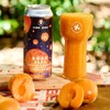 红男爵 杏杏点灯 500ml 商品缩略图0