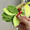 【拍拍消除烦恼】夏季专属柚子叶毛绒挂饰 好运柚子叶毛绒挂件 精致款钥匙扣配饰 书包挂件 节日礼物 商品缩略图3