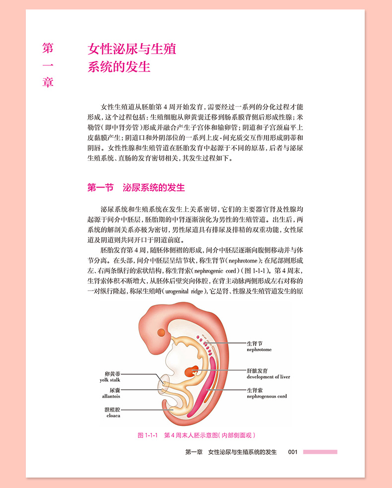 粉色_08.jpg
