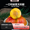 【预售】极客生态桃（小金丸） | 果肉细腻，果香浓郁，生态种植，到货偶尔会有稍微变软的情况，是自然成熟了，不影响食用，介意慎拍⭐️顺丰快递 商品缩略图0