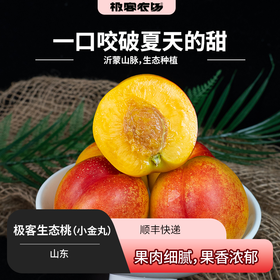 【预售】极客生态桃（小金丸） | 果肉细腻，果香浓郁，生态种植，到货偶尔会有稍微变软的情况，是自然成熟了，不影响食用，介意慎拍⭐️顺丰快递