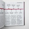 DK数学百科 英文原版 The Maths Book DK百科系列 数学发展历史 自然 人工智能 英文版原版书籍 精装大开本 进口英语书 商品缩略图2