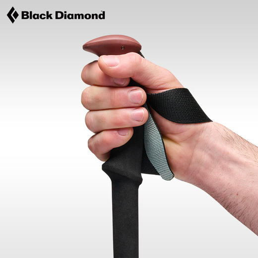 Blackdiamond黑钻bd登山杖伸缩手杖四季户外徒步杖登山杖110045 商品图4