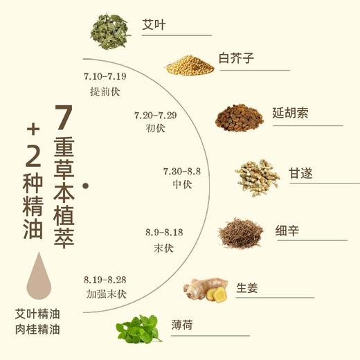 福林堂 三焦艾灸贴 贴敷透气 亲肤舒适 30贴/袋 商品图1