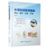 外周区域阻滞图解 解剖 超声 麻醉 疼痛 第4四版 德 吉塞拉 梅尔 等主编 王云 马丹旭 郭瑞娟主译9787559146403辽宁科学技术出版社 商品缩略图1