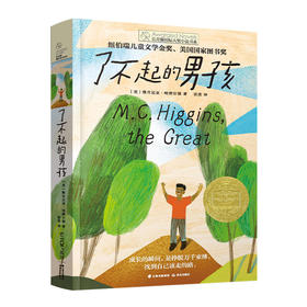 长青藤国际大奖小说——·了不起的男孩