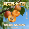 疆无季 新疆阿克苏小红杏 一杏两吃（杏肉蜜甜+杏仁香脆）当季鲜果 树上自然熟 商品缩略图1