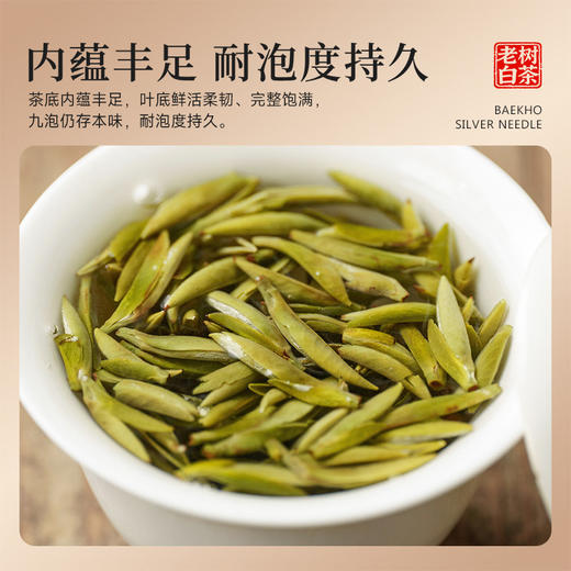 【端午节】茶叶 福鼎白茶 白毫银针 老白茶 端午节 茶饮 五虎 80g 商品图3