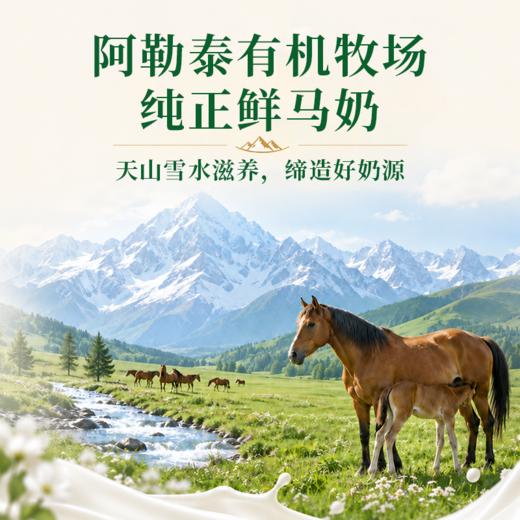 顺丰冷链【99元12支】新疆阿勒泰汗雪马奶雪糕 4种口味 商品图1