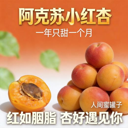 疆无季 新疆阿克苏小红杏 一杏两吃（杏肉蜜甜+杏仁香脆）当季鲜果 树上自然熟 商品图2