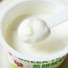 乐纯三三三倍希腊酸奶|生牛乳＞95%，丝滑绵密，奶香味爆炸 商品缩略图2