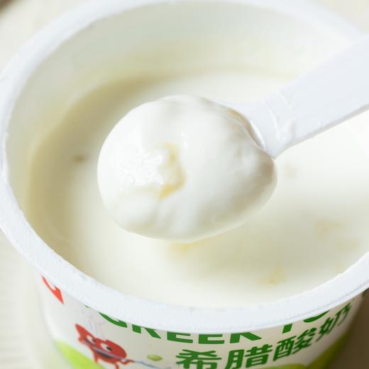 乐纯三三三倍希腊酸奶|生牛乳＞95%，丝滑绵密，奶香味爆炸 商品图2