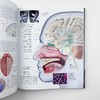 DK人体百科 英文原版 The Human Body Book 人体骨骼肌肉系统运作全方面知识 DK科普图解百科 精装 英文版 进口原版英语书籍 商品缩略图3