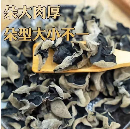 【QT】半斤干木耳 商品图1