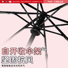 【下雨天出行无忧】凯蒂猫正版授权雨伞 小清新可爱卡通折叠伞 女生高颜值磨砂雨伞 学生儿童自动雨伞 透明雨伞 商品缩略图3