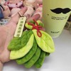 【拍拍消除烦恼】夏季专属柚子叶毛绒挂饰 好运柚子叶毛绒挂件 精致款钥匙扣配饰 书包挂件 节日礼物 商品缩略图4