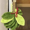 【拍拍消除烦恼】夏季专属柚子叶毛绒挂饰 好运柚子叶毛绒挂件 精致款钥匙扣配饰 书包挂件 节日礼物 商品缩略图2