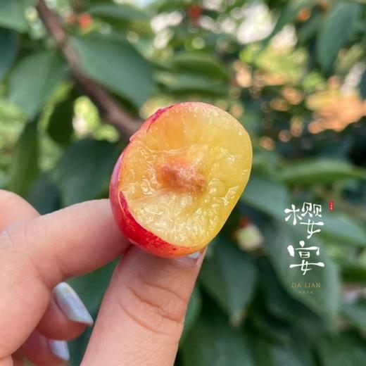 大连樱桃  红绣球&宾库 商品图0