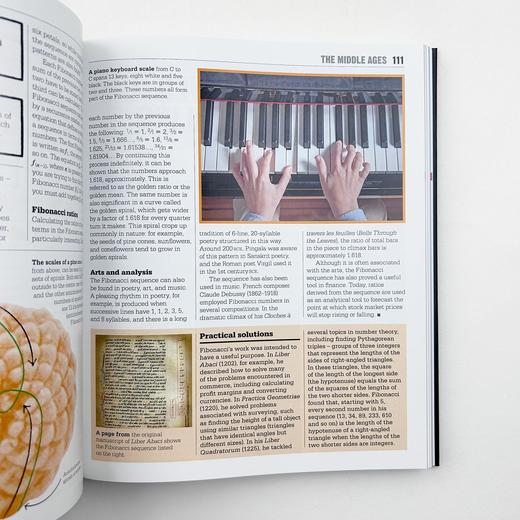 DK数学百科 英文原版 The Maths Book DK百科系列 数学发展历史 自然 人工智能 英文版原版书籍 精装大开本 进口英语书 商品图3
