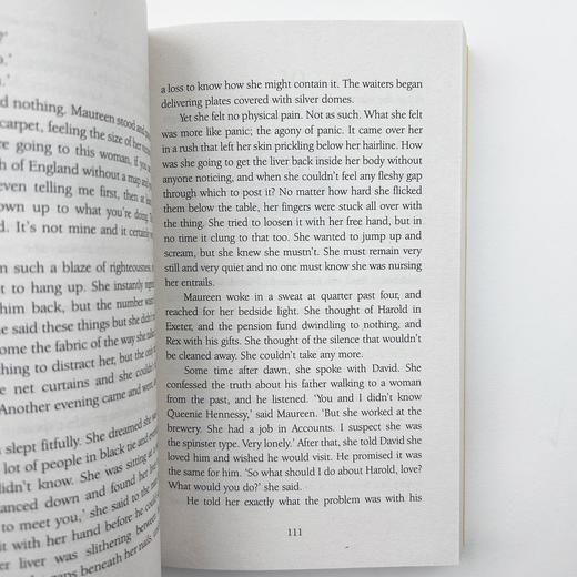 英文版原版小说 一个人的朝圣 The Unlikely Pilgrimage of Harold Fry  英文原版畅销小说 蕾秋乔伊斯 原版进口书 商品图2
