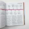 物理百科 英文原版 The Physics Book DK科普百科 英文版进口原版英语书籍 商品缩略图2