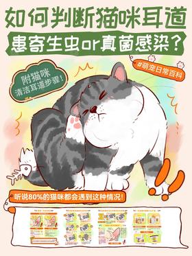 猫咪耳螨or真菌感染🧼 普普教你一分钟分清