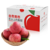 自然搭档 陕西延安苹果5斤/8.5斤整箱装 地理标志产品 皮薄脆甜 香甜可口 汁水充沛 品质优越 商品缩略图0
