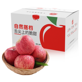 自然搭档 陕西延安苹果5斤/8.5斤整箱装 地理标志产品 皮薄脆甜 香甜可口 汁水充沛 品质优越