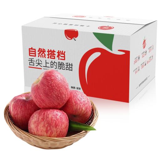 自然搭档 陕西延安苹果5斤/8.5斤整箱装 地理标志产品 皮薄脆甜 香甜可口 汁水充沛 品质优越 商品图0