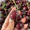 大连樱桃  红绣球&宾库 商品缩略图2