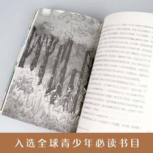 长青藤国际大奖小说——·了不起的男孩 商品图2