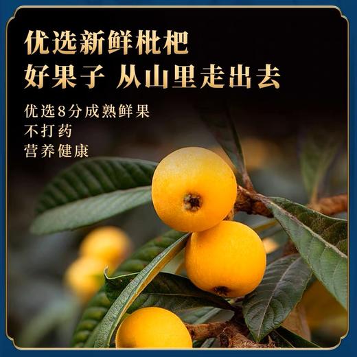 【买3袋赠1袋 到手4袋】川知贝 竹盐枇杷干 果肉饱满 细腻软糯 100g/袋 商品图7