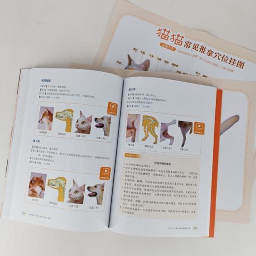 猫狗推拿大图册（配手法演示视频） 商品图2