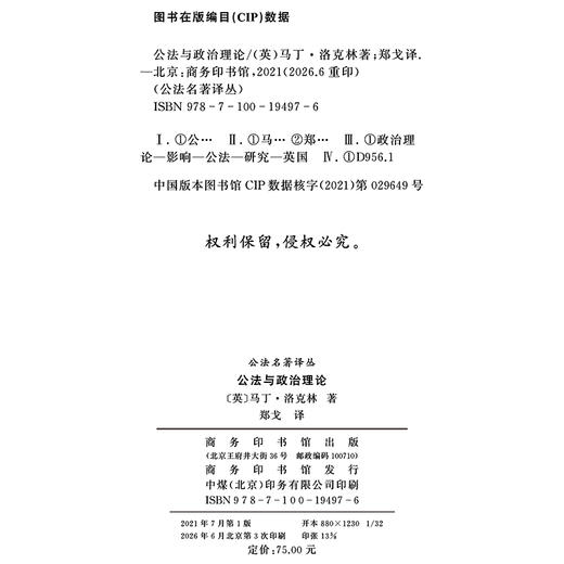 公法与政治理论(精装本)(公法名著译丛) 商品图1