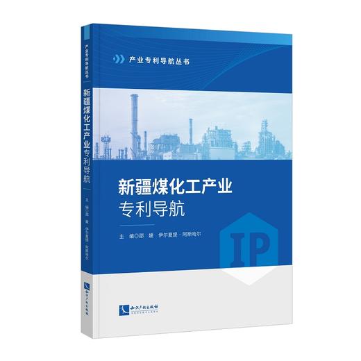 新疆煤化工产业专利导航 商品图0
