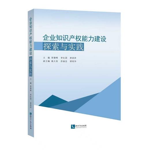 企业知识产权能力建设探索与实践 商品图0